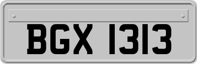BGX1313