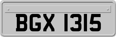 BGX1315