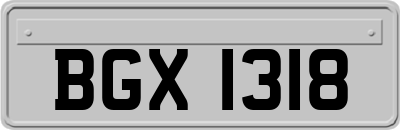 BGX1318