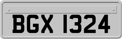 BGX1324