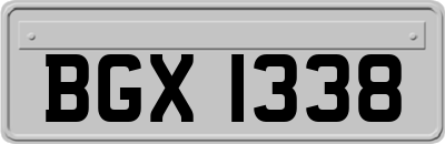 BGX1338