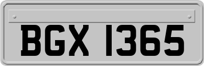 BGX1365