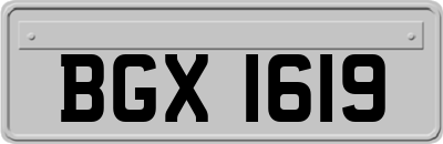 BGX1619