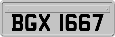 BGX1667