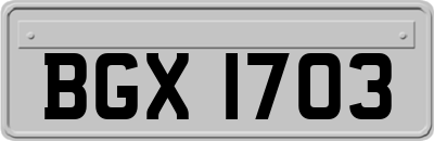 BGX1703