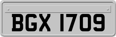 BGX1709