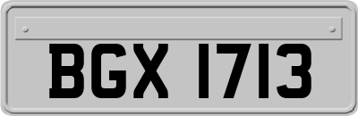 BGX1713
