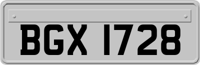 BGX1728