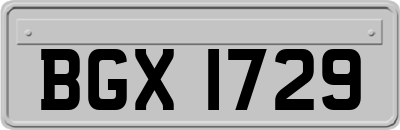 BGX1729