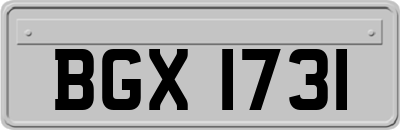BGX1731