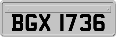 BGX1736