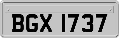 BGX1737