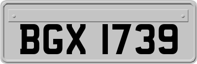 BGX1739