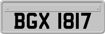 BGX1817