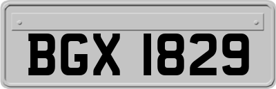 BGX1829