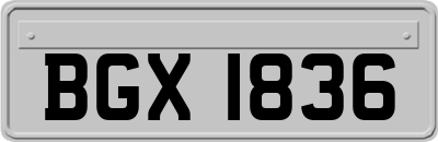 BGX1836