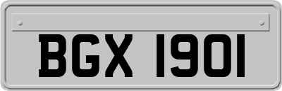 BGX1901