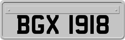 BGX1918