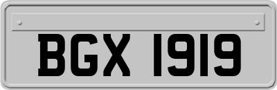 BGX1919
