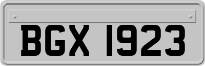 BGX1923