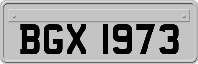 BGX1973