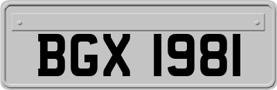 BGX1981