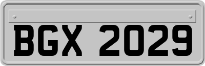 BGX2029