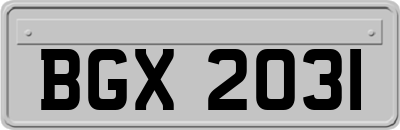 BGX2031