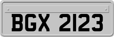 BGX2123