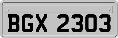 BGX2303