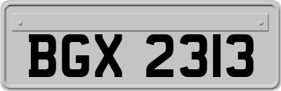 BGX2313