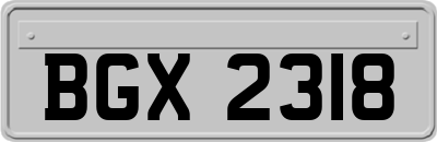 BGX2318