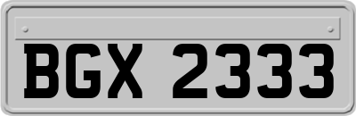 BGX2333