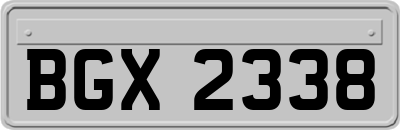 BGX2338