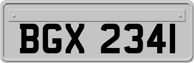 BGX2341
