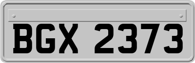 BGX2373