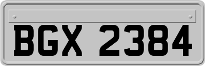 BGX2384