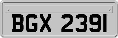 BGX2391