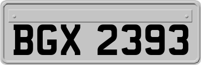 BGX2393