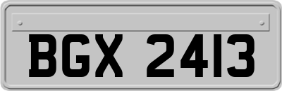 BGX2413