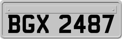 BGX2487