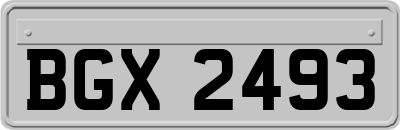 BGX2493