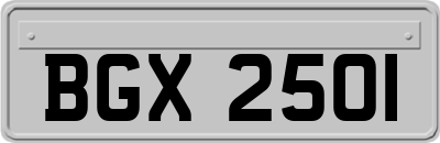 BGX2501