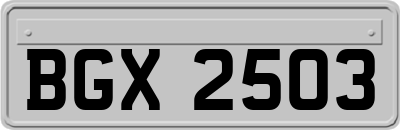 BGX2503