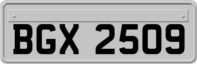 BGX2509