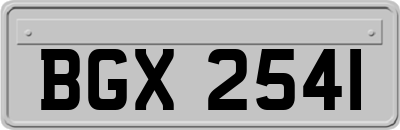 BGX2541