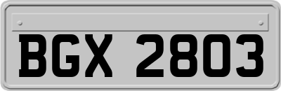 BGX2803