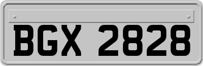 BGX2828