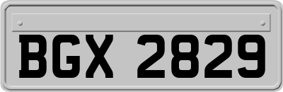 BGX2829