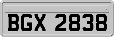 BGX2838